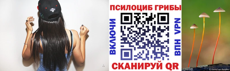 как найти закладки  Алупка  нарко площадка какой сайт  Псилоцибиновые грибы мицелий 