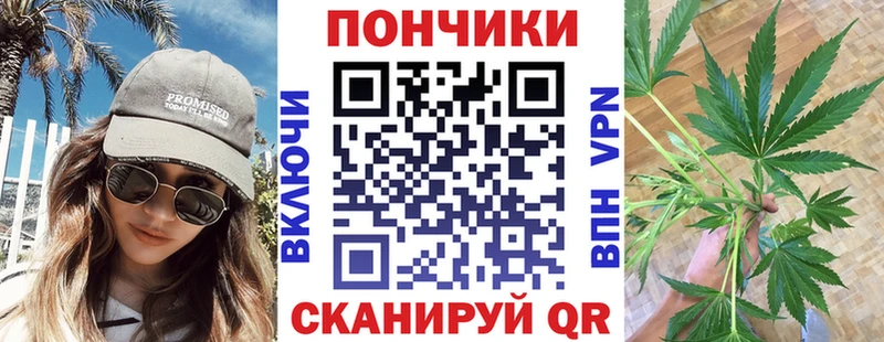 Канабис гибрид  Алупка 